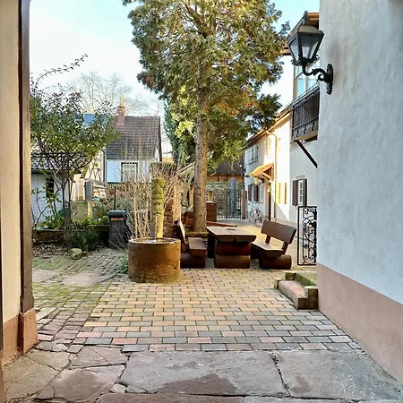 Exklusives Haus, Ruhig Gelegen Im Innenhof, Zentral, Lichtdurchflutet Zustellbett,babybett Bei Bedarf Lägenhet Karlsruhe